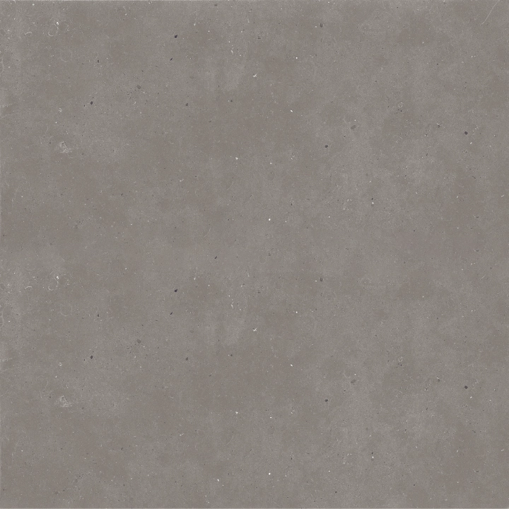 Graniti Fiandre Fjord Grey Fjord antypoślizgowa 120x120 cm gr. 20 mm